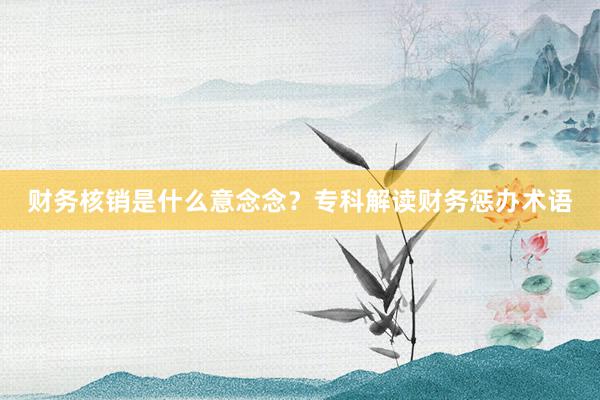 财务核销是什么意念念？专科解读财务惩办术语