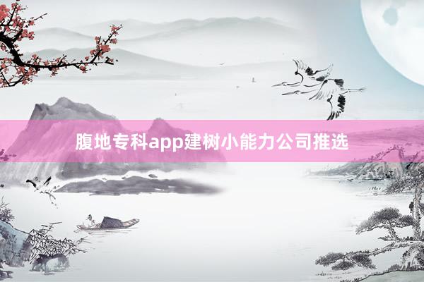 腹地专科app建树小能力公司推选