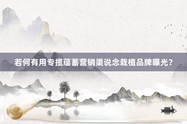 若何有用专揽蕴蓄营销渠说念栽植品牌曝光？